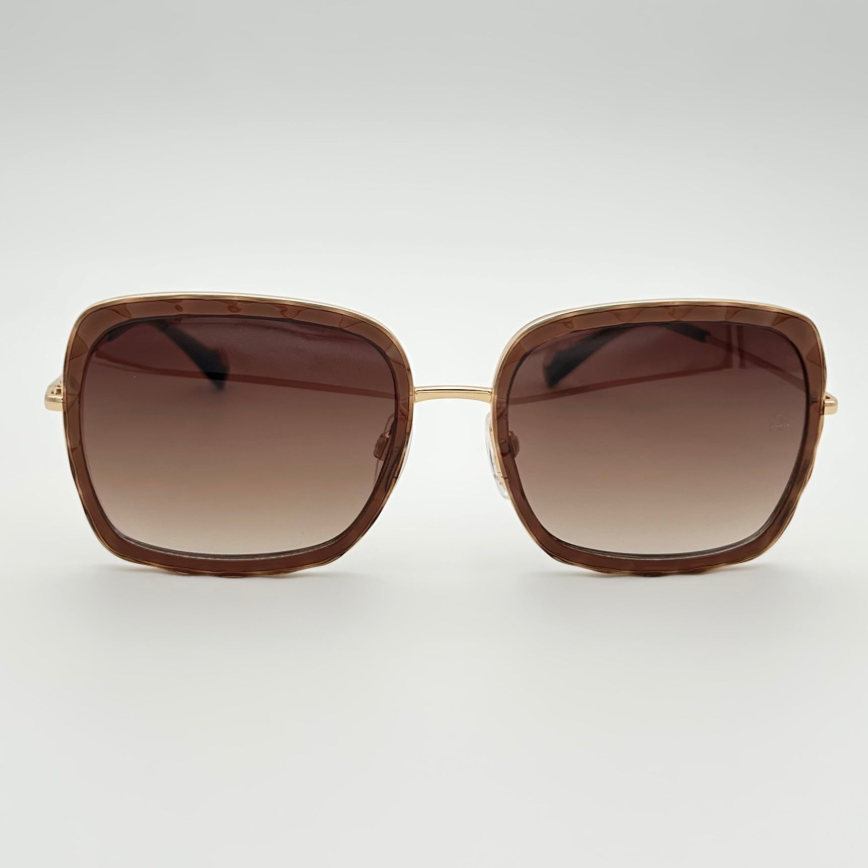 Lunettes de soleil Ana Hickmann AH3162