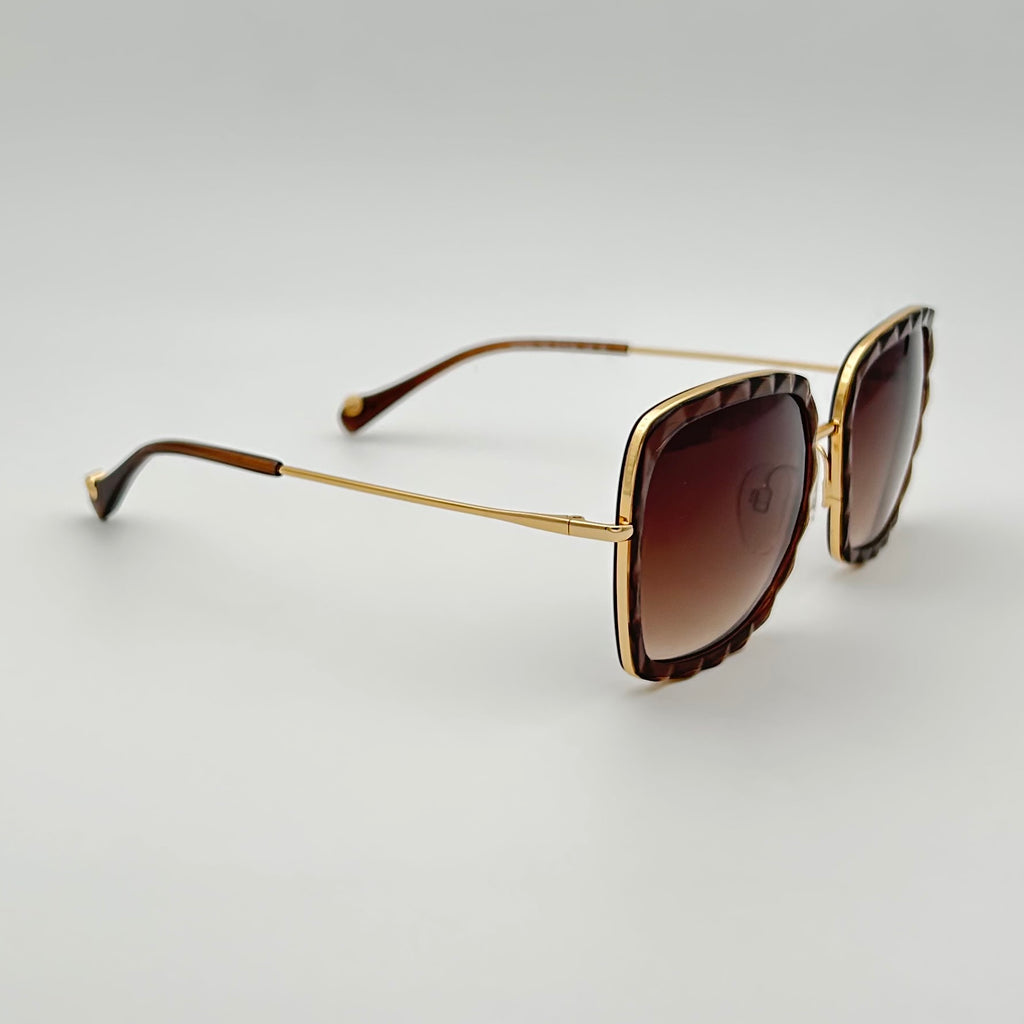 Lunettes de soleil Ana Hickmann AH3162
