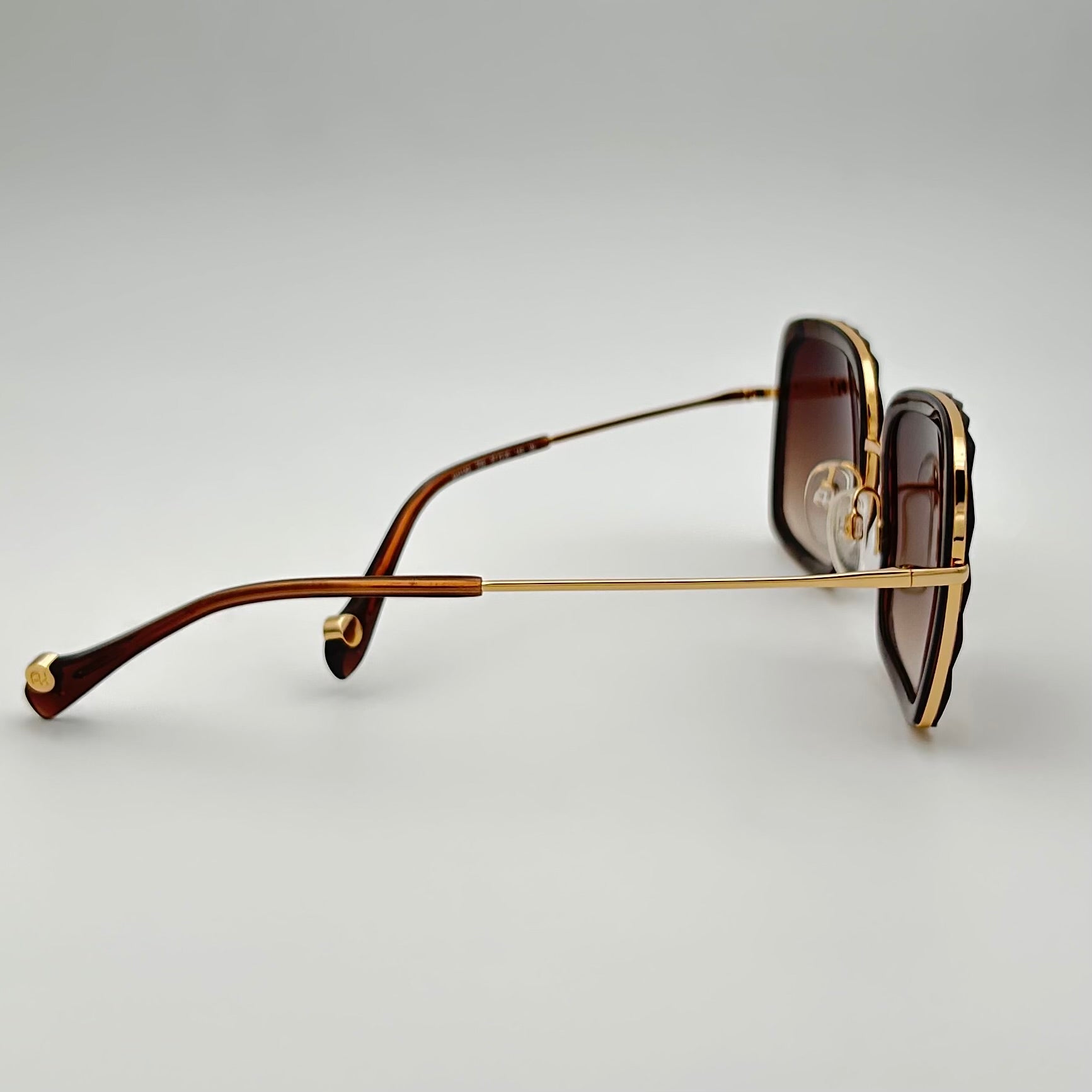 Lunettes de soleil Ana Hickmann AH3162