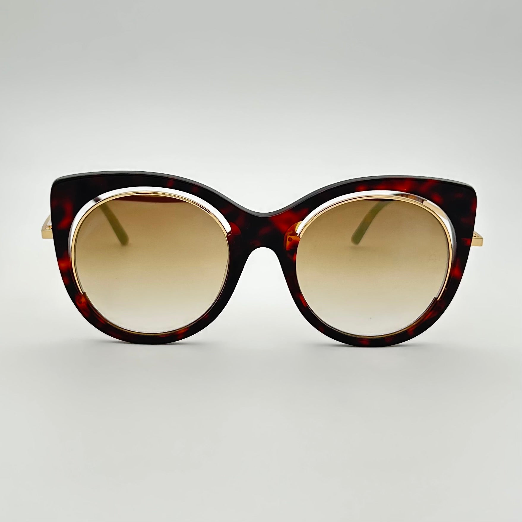 Lunettes de soleil Ana Hickmann AH9265