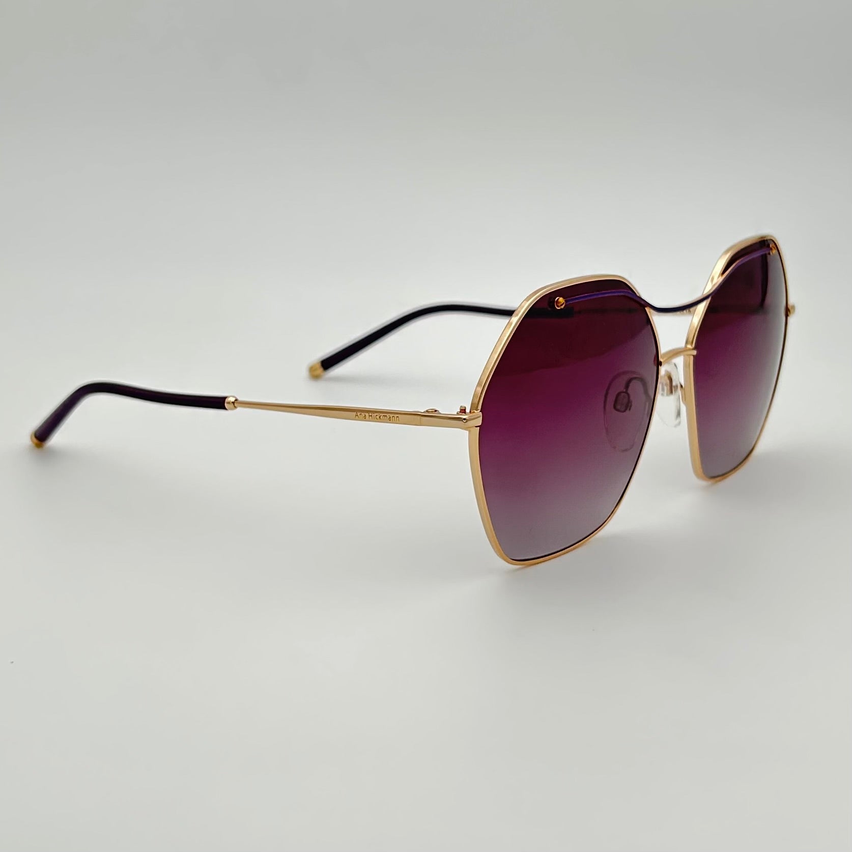Lunettes de soleil Ana Hickmann AH3172