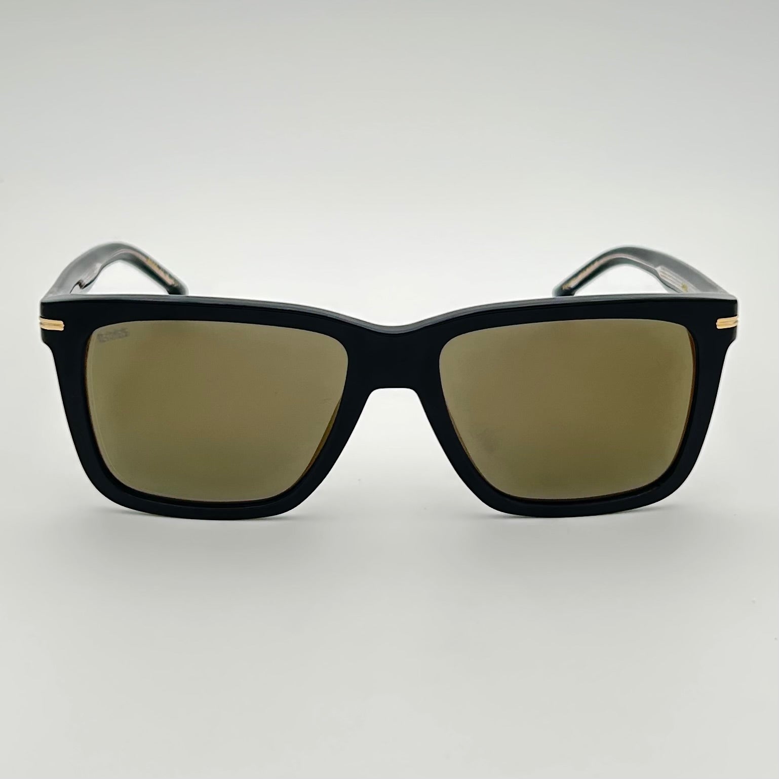 Lunettes de soleil Hugo Boss 1598/S